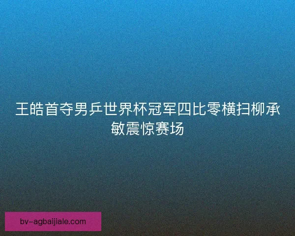 王皓首夺男乒世界杯冠军四比零横扫柳承敏震惊赛场