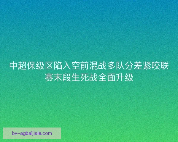 中超保级区陷入空前混战多队分差紧咬联赛末段生死战全面升级 中超保级区陷入空前混战多队分差紧咬联赛末段生死战全面升级